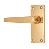 "Eber" Brass Door Handle with Plate 